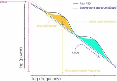 Day-to-Day Test-Retest Reliability of EEG Profiles in Children With Autism Spectrum Disorder and Typical Development